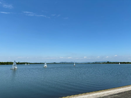 s240619aa.jpg