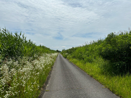 s240619bb.jpg
