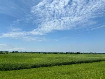 s240619cc.jpg
