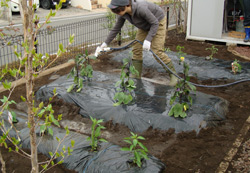 0422-2.jpg