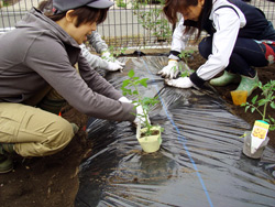 0422-3.jpg